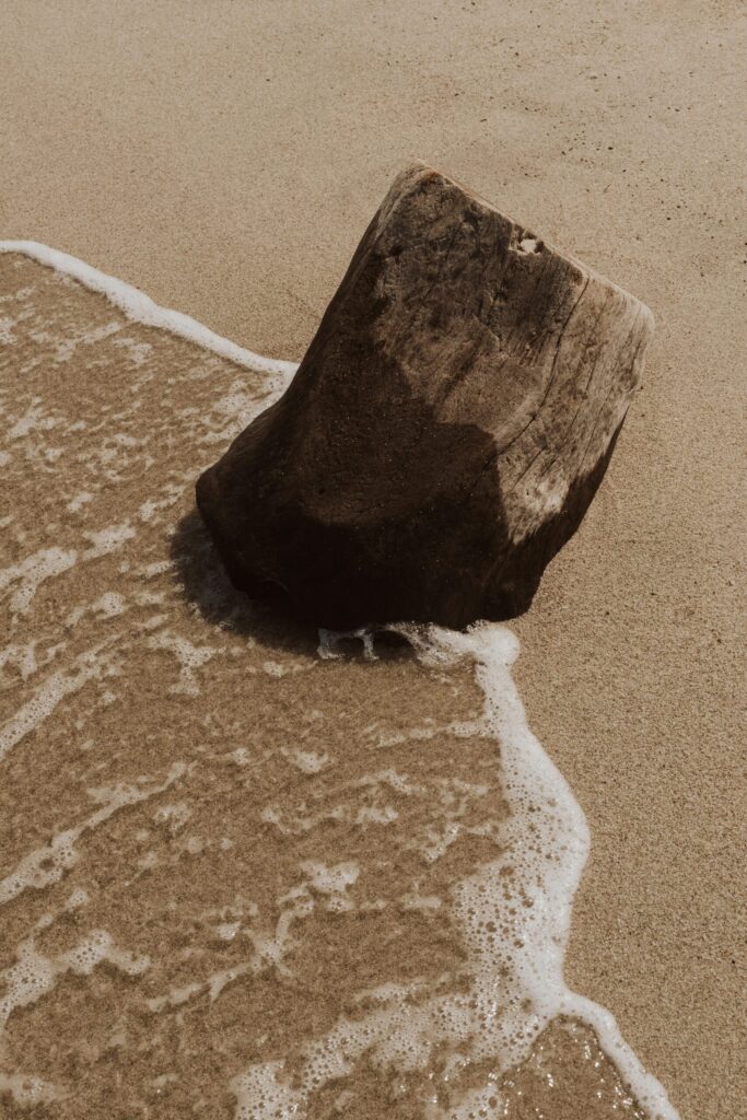 EAUde1974_lifestyle_moods_purchased_T3_Elements_28-scaled